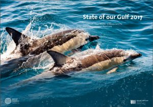 State of our Gulf 2017 - Report cover